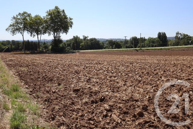 Afficher la photo en grand terrain à vendre - 4990.0 m2 - ALBI - 81 - MIDI-PYRENEES - Century 21 Agence Sainte-Cécile