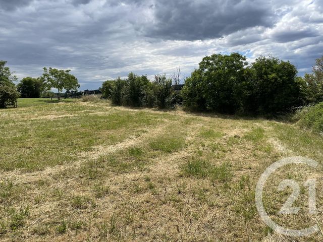 terrain à vendre - 1081.0 m2 - POULAN POUZOLS - 81 - MIDI-PYRENEES - Century 21 Agence Sainte-Cécile