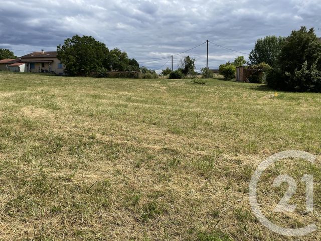 terrain à vendre - 1081.0 m2 - POULAN POUZOLS - 81 - MIDI-PYRENEES - Century 21 Agence Sainte-Cécile