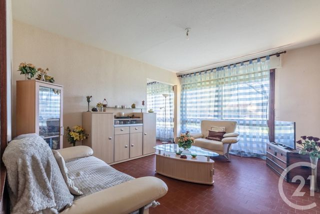 appartement - ALBI - 81