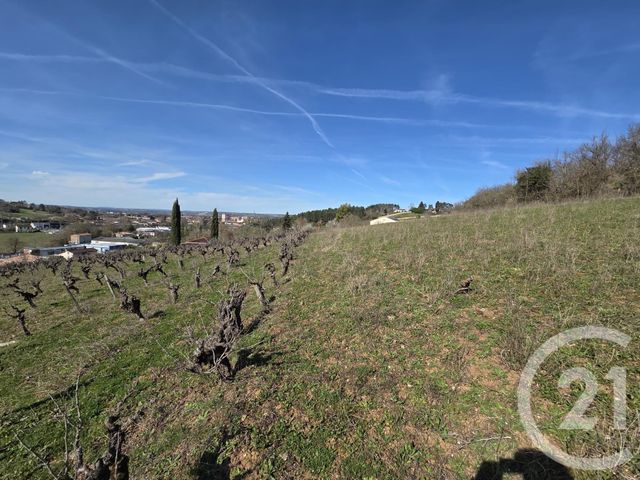 terrain à vendre - 2793.0 m2 - ALBI - 81 - MIDI-PYRENEES - Century 21 Agence Sainte-Cécile