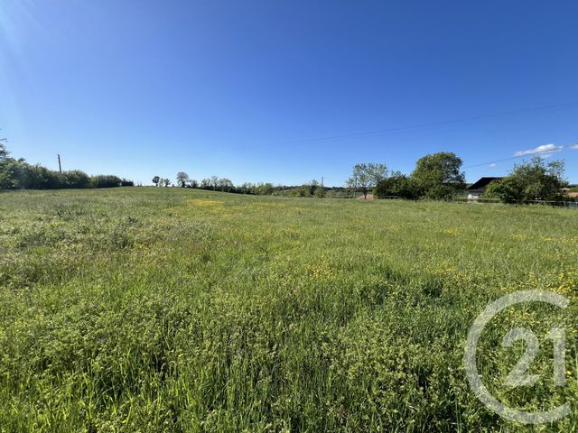 terrain à vendre - 1400.0 m2 - STE CROIX - 81 - MIDI-PYRENEES - Century 21 Agence Sainte-Cécile