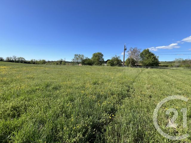 terrain à vendre - 1400.0 m2 - STE CROIX - 81 - MIDI-PYRENEES - Century 21 Agence Sainte-Cécile