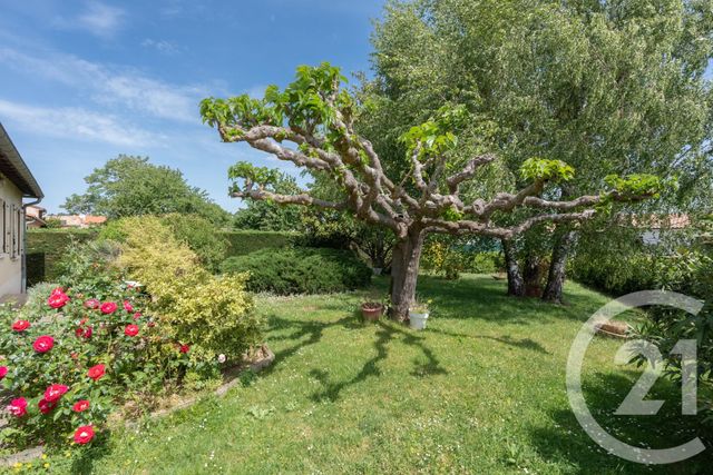 maison à vendre - 5 pièces - 136.0 m2 - TERSSAC - 81 - MIDI-PYRENEES - Century 21 Agence Sainte-Cécile