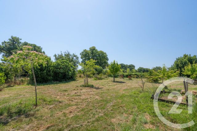 maison à vendre - 7 pièces - 230.0 m2 - FLORENTIN - 81 - MIDI-PYRENEES - Century 21 Agence Sainte-Cécile