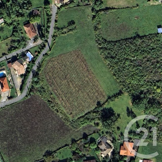 terrain - ALBI - 81