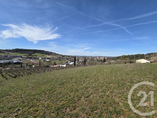 terrain à vendre - 1153.0 m2 - ALBI - 81 - MIDI-PYRENEES - Century 21 Agence Sainte-Cécile