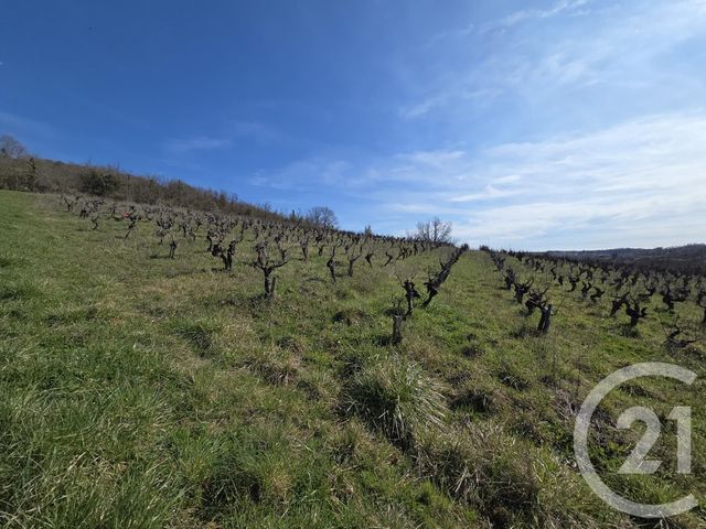 terrain à vendre - 2326.0 m2 - ALBI - 81 - MIDI-PYRENEES - Century 21 Agence Sainte-Cécile