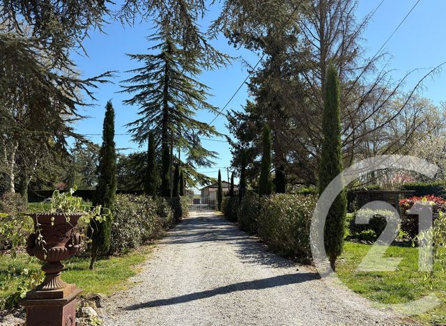 maison à vendre - 14 pièces - 304.0 m2 - LISLE SUR TARN - 81 - MIDI-PYRENEES - Century 21 Agence Sainte-Cécile