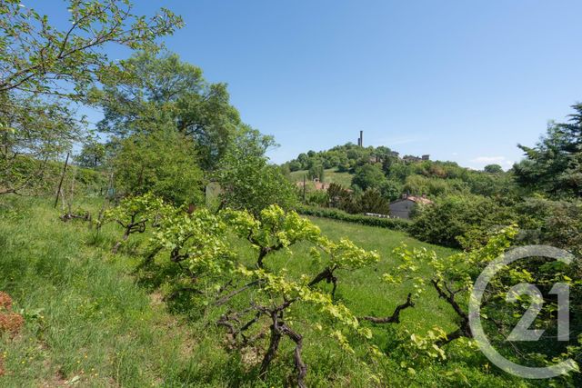 maison à vendre - 5 pièces - 136.57 m2 - CASTELNAU DE LEVIS - 81 - MIDI-PYRENEES - Century 21 Agence Sainte-Cécile