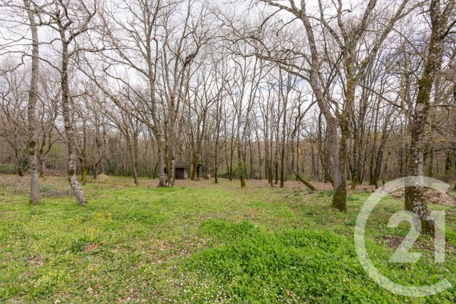 maison à vendre - 6 pièces - 126.74 m2 - PEYROLE - 81 - MIDI-PYRENEES - Century 21 Agence Sainte-Cécile