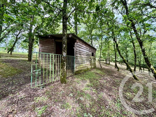 maison à vendre - 6 pièces - 126.74 m2 - PEYROLE - 81 - MIDI-PYRENEES - Century 21 Agence Sainte-Cécile