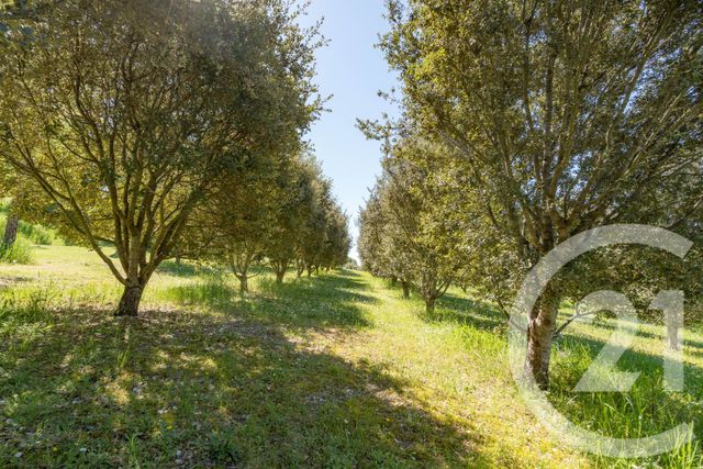 maison à vendre - 12 pièces - 399.3 m2 - CAGNAC LES MINES - 81 - MIDI-PYRENEES - Century 21 Agence Sainte-Cécile