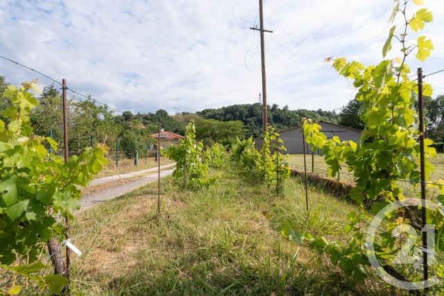 maison à vendre - 4 pièces - 145.0 m2 - ALBI - 81 - MIDI-PYRENEES - Century 21 Agence Sainte-Cécile