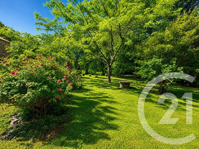 maison à vendre - 11 pièces - 228.6 m2 - SERENAC - 81 - MIDI-PYRENEES - Century 21 Agence Sainte-Cécile