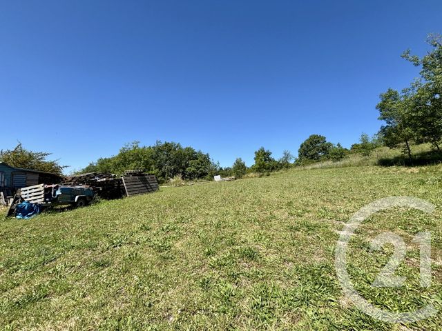 maison à vendre - 6 pièces - 141.0 m2 - CASTELNAU DE LEVIS - 81 - MIDI-PYRENEES - Century 21 Agence Sainte-Cécile