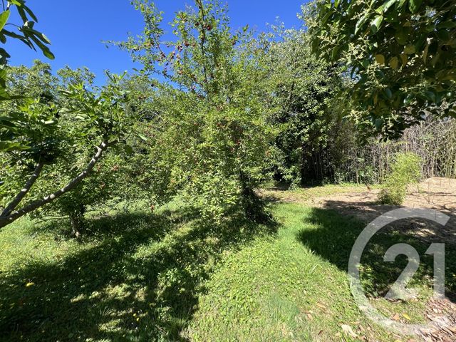 terrain à vendre - 3036.0 m2 - ALBI - 81 - MIDI-PYRENEES - Century 21 Agence Sainte-Cécile