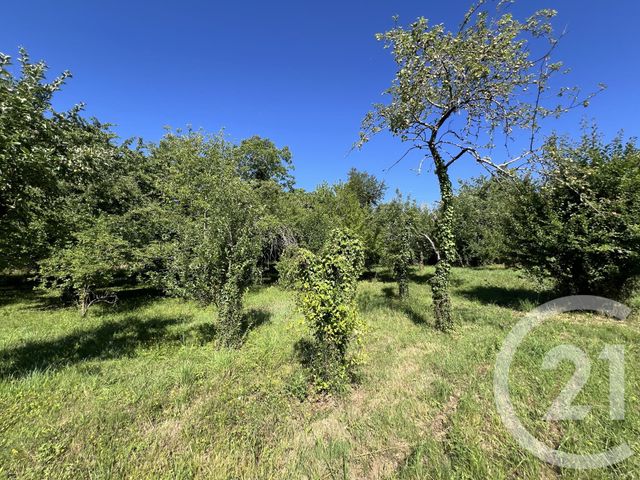terrain à vendre - 3036.0 m2 - ALBI - 81 - MIDI-PYRENEES - Century 21 Agence Sainte-Cécile